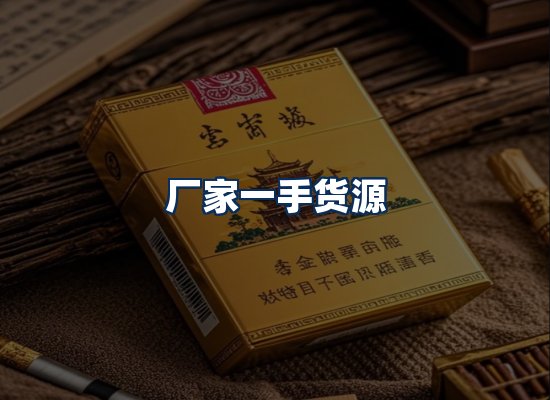 专业团队办公环境